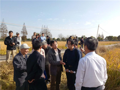 發揮學科優勢，助力崇明建設——化分學院分析-物化聯合黨支部“主題黨日”活動聚焦海水養殖技術研發